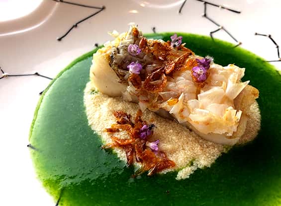 img_chef_03_dishes_01